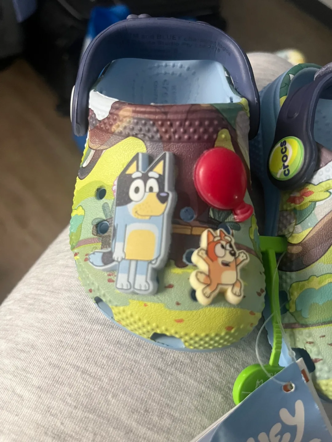 Bluey Crocs Jibbitz Kids Clogs image indicator(2)