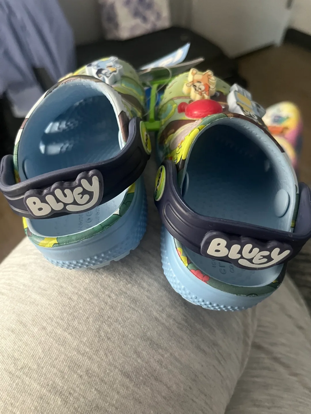 Bluey Crocs Jibbitz Kids Clogs image indicator(4)