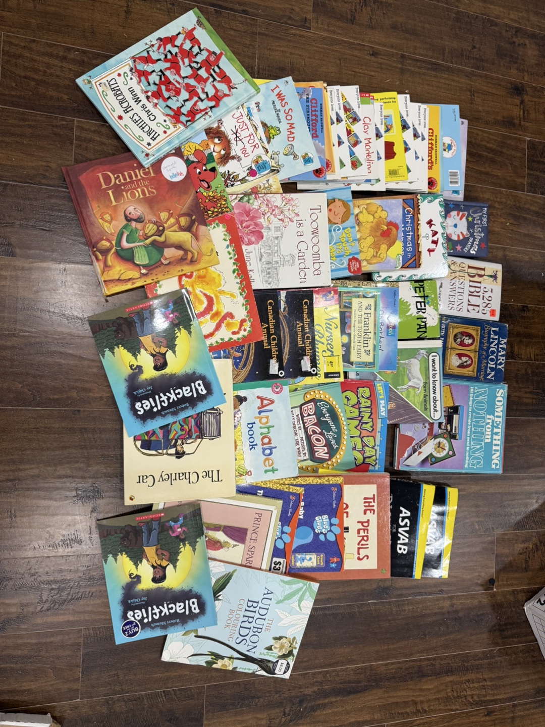 Large Collection of Children's Books
