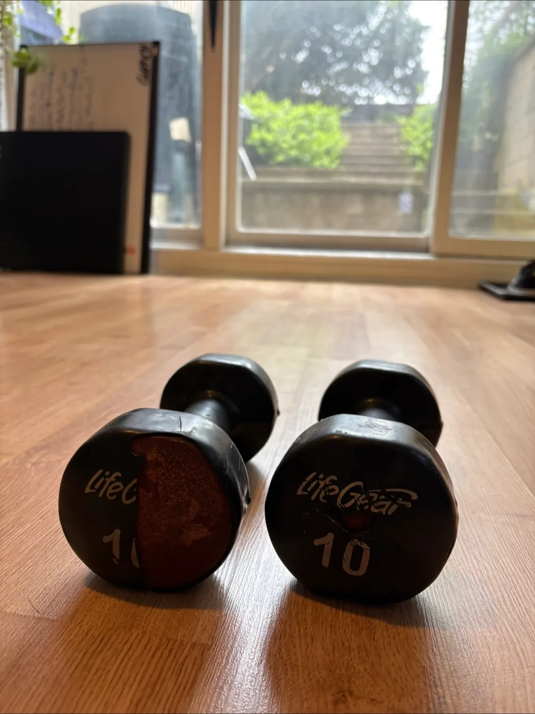 10lb Dumbbell Pair – LifeGear – Well Used, Still Works image indicator(2)