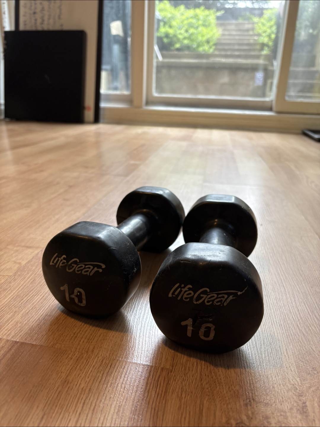 10lb Dumbbell Pair – LifeGear – Well Used, Still Works
