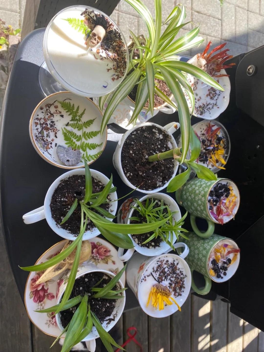 Unique Teacup Candles & Plants-  Various Designs image indicator(3)