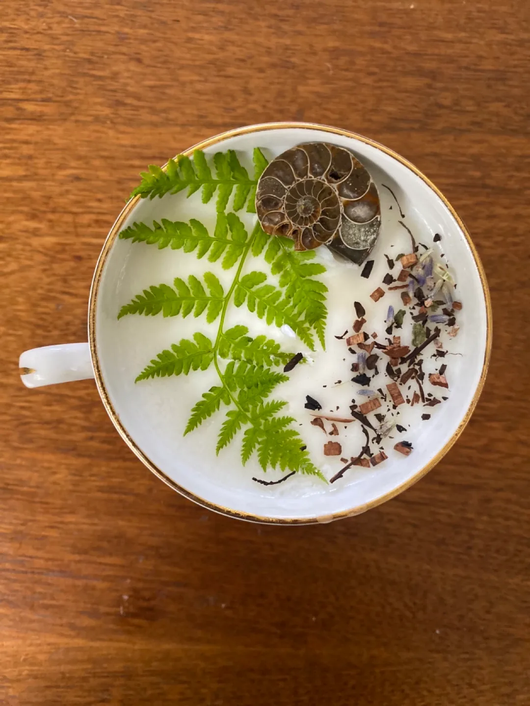 Unique Teacup Candles & Plants-  Various Designs image indicator(7)