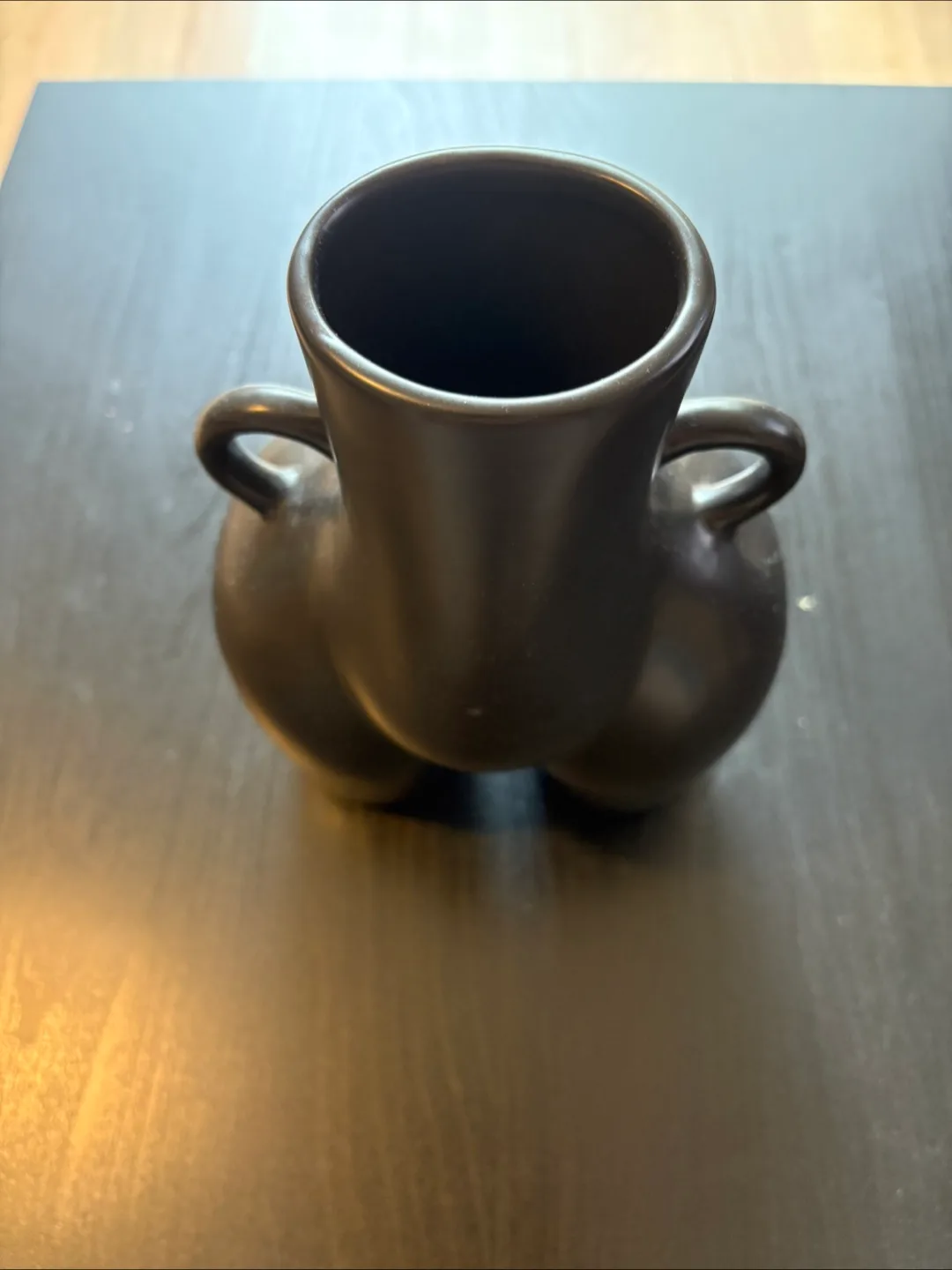 Bold Black Ceramic Body Vase – Make Your Shelf Blush image indicator(4)