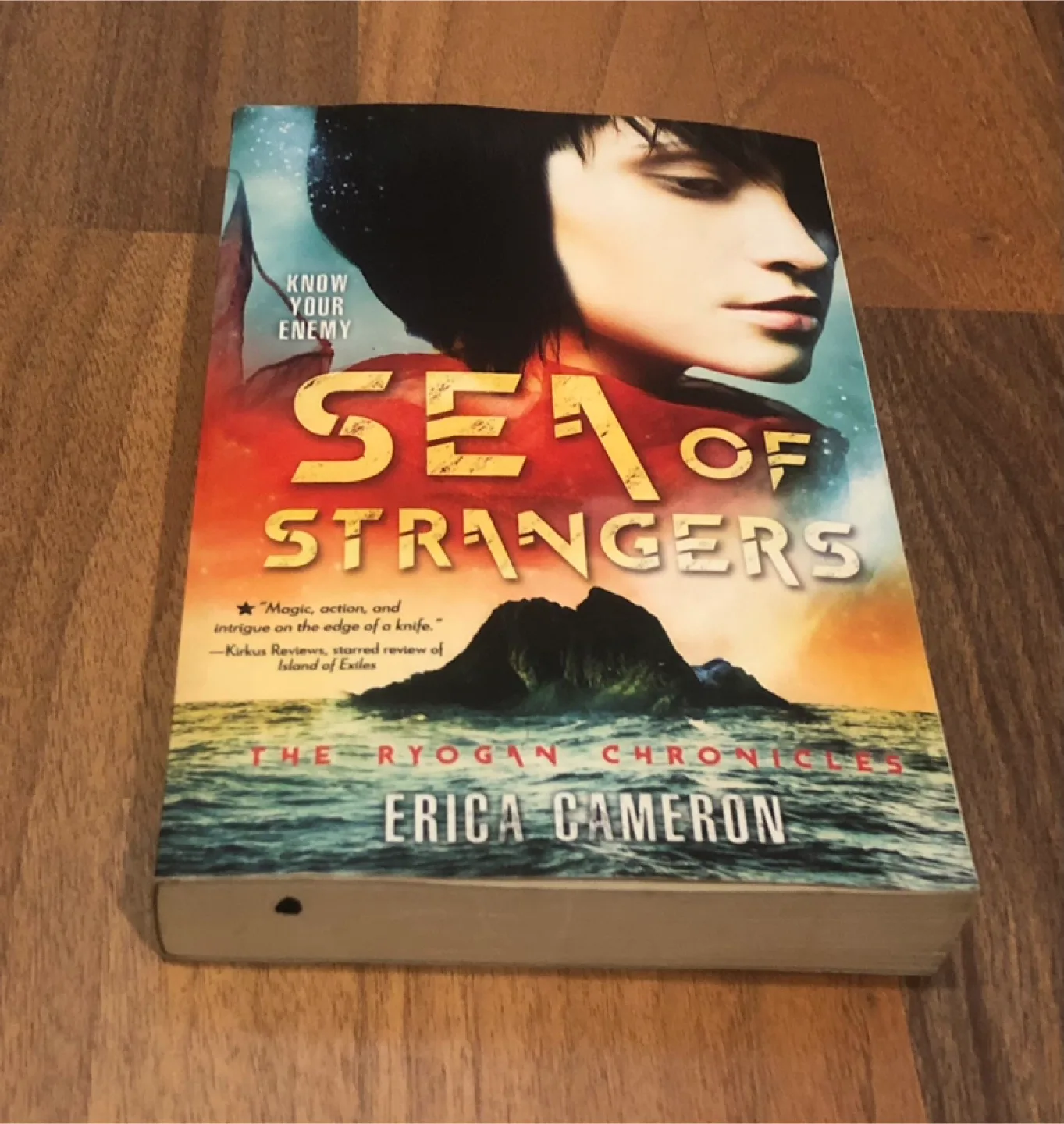 Sea of Strangers by Erica Cameron - Ryogan Chronicles thumbnail