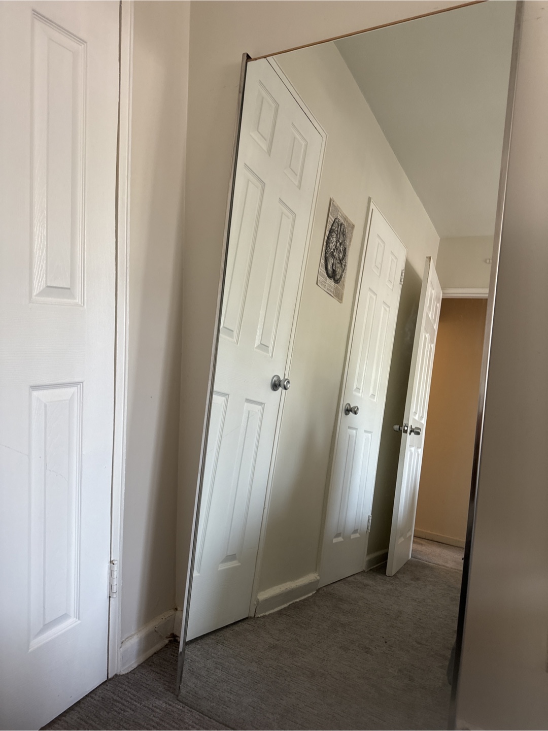Full Length Mirror - 67" x 24"
