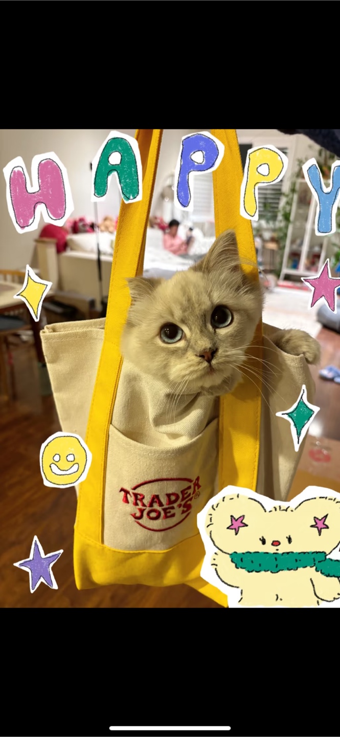 Trader Joe's Reusable Tote Bag - Pastel Colours