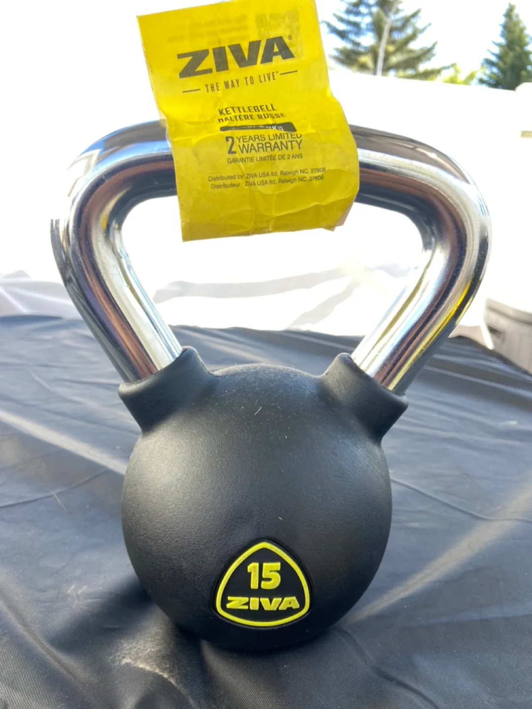 Ziva 15LB Kettlebell thumbnail