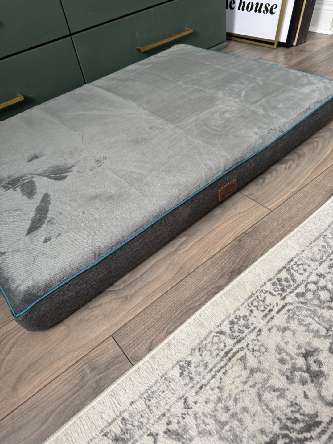 Free - unused dog bed - photo 3