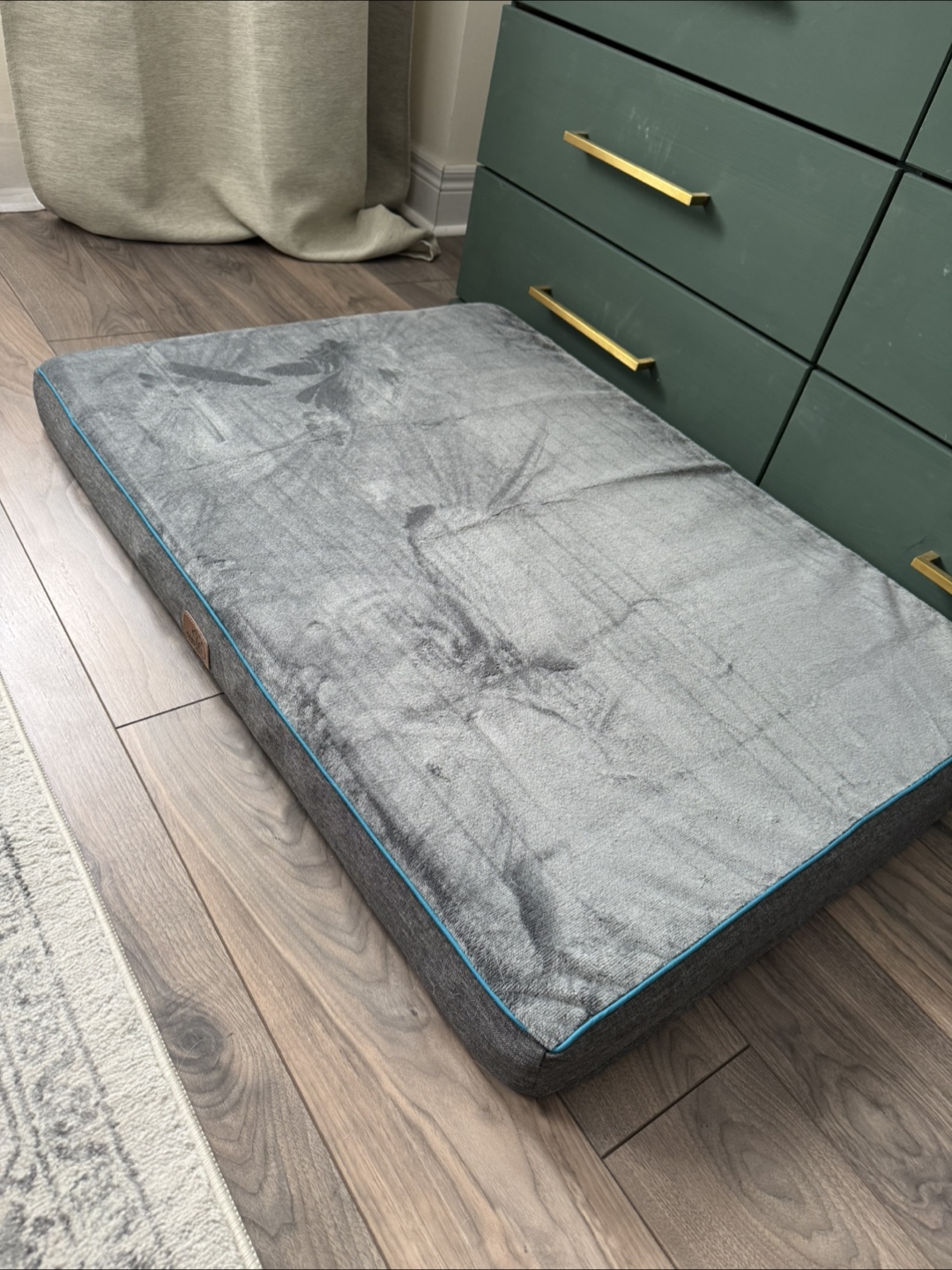 Free - unused dog bed