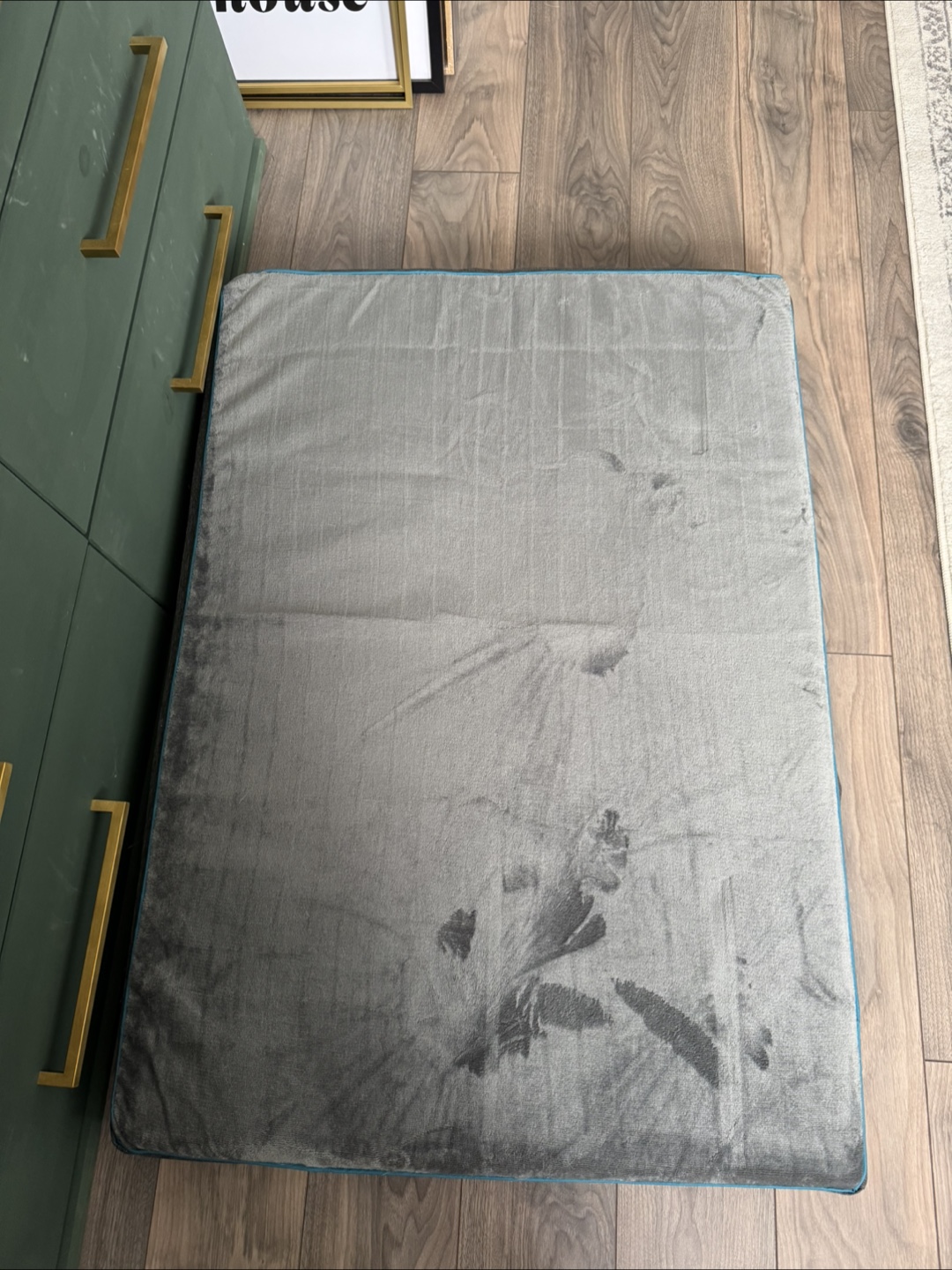 Free - unused dog bed - photo 2