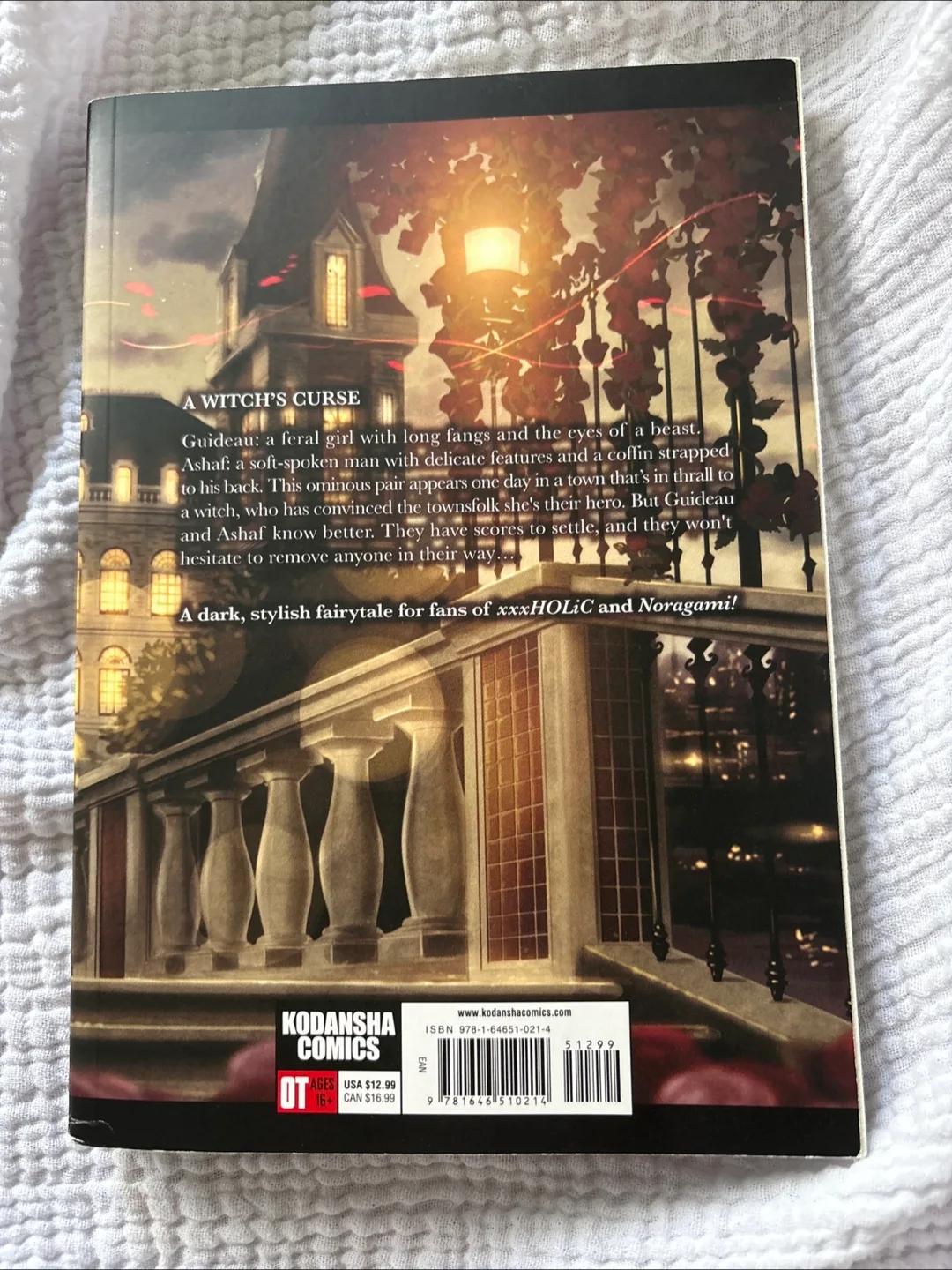 The Witch and the Beast Volume 1 Manga image indicator(2)