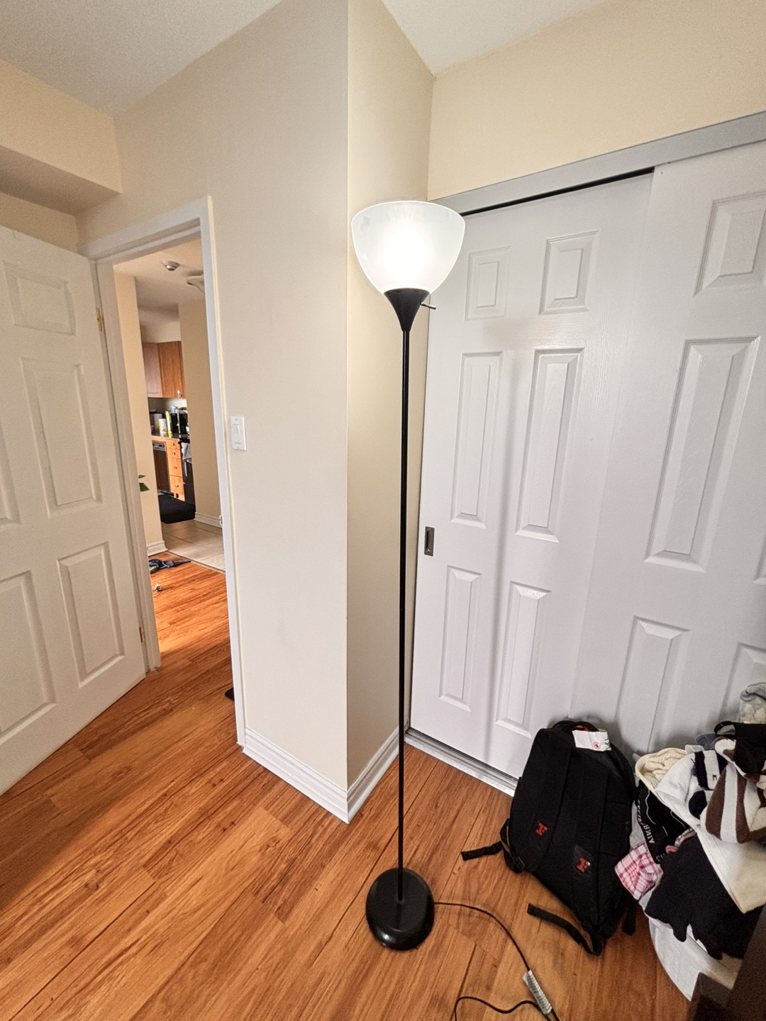 Floor Lamp - Modern Design
