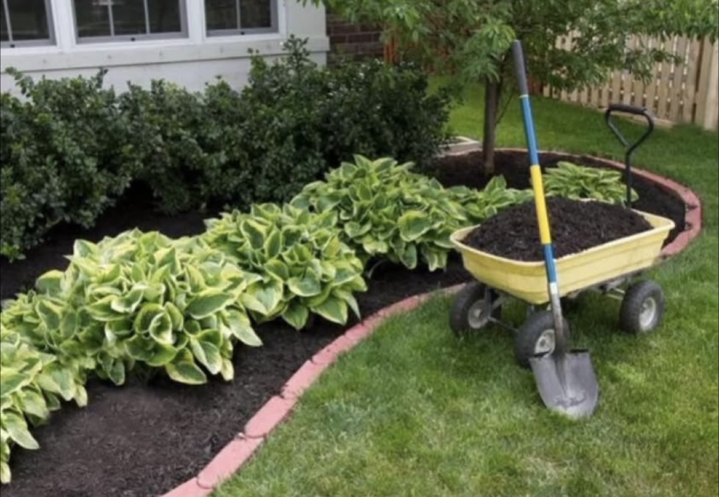 Gardening Services