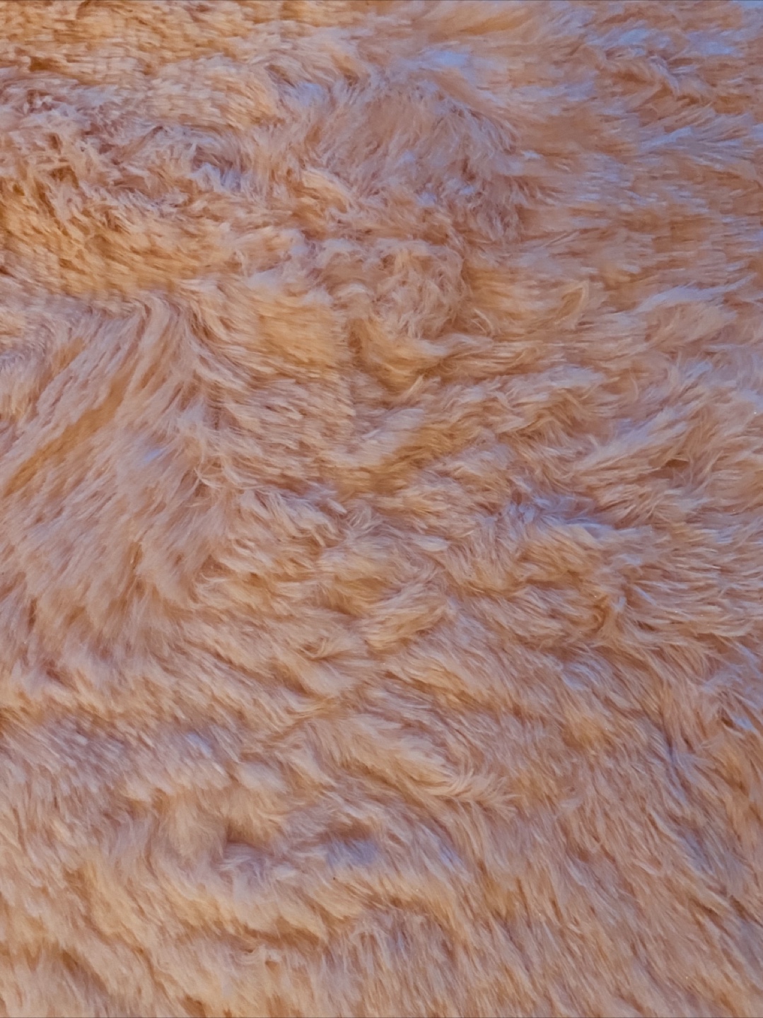 Pink Shag Area Rug - photo 3