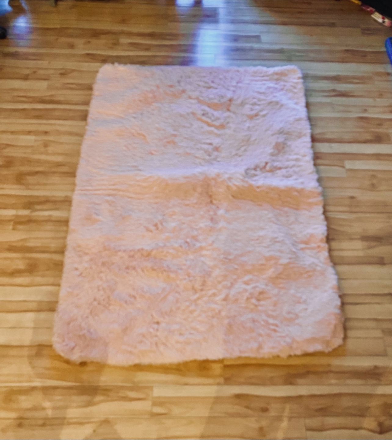Pink Shag Area Rug