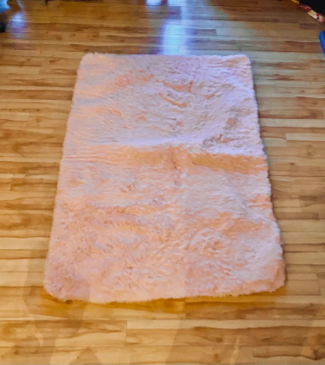 Pink Shag Area Rug thumbnail