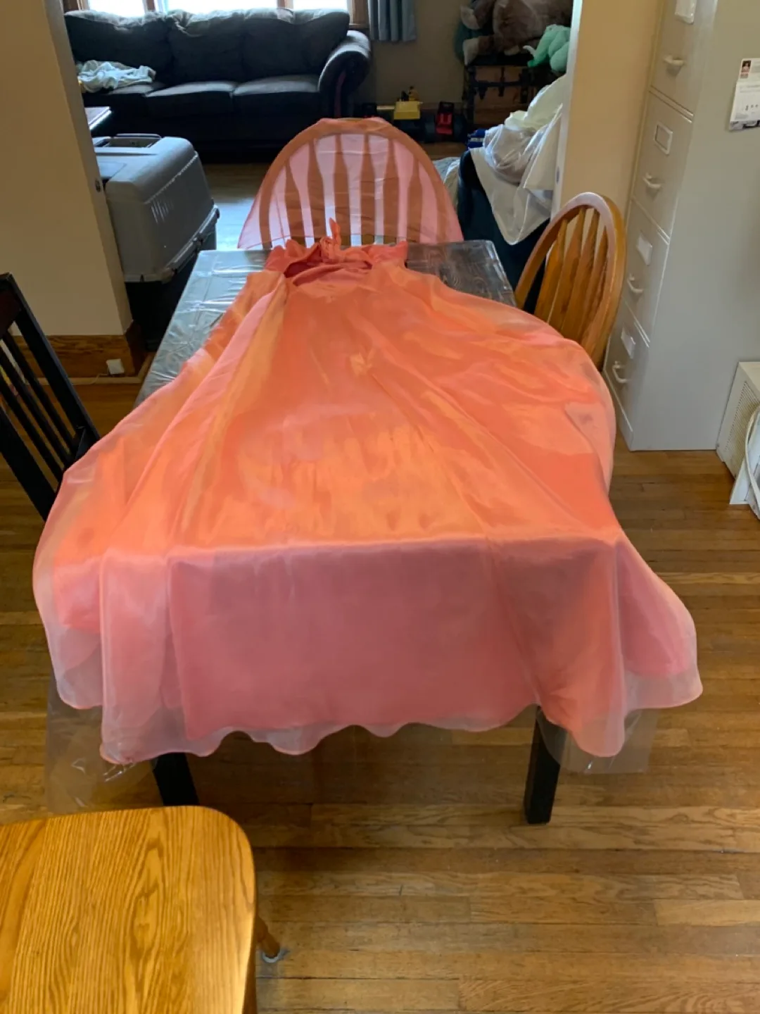 Salmon Pink Formal Gown Size 14 image indicator(2)