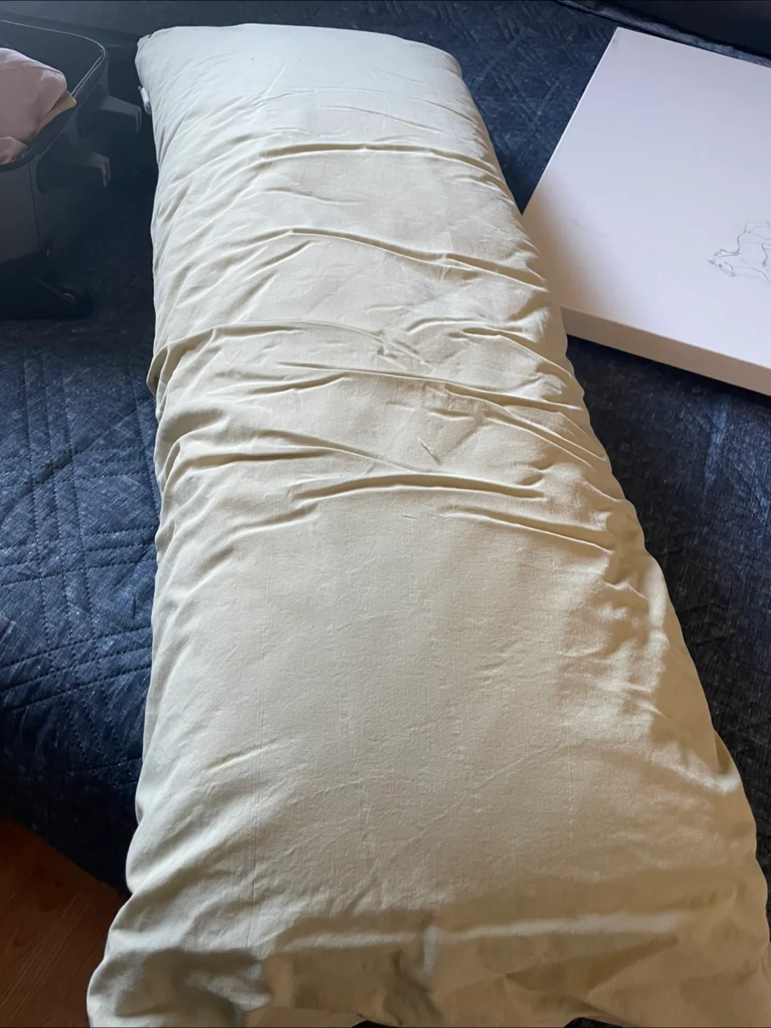 #freecycle Pillows and body pillow thumbnail