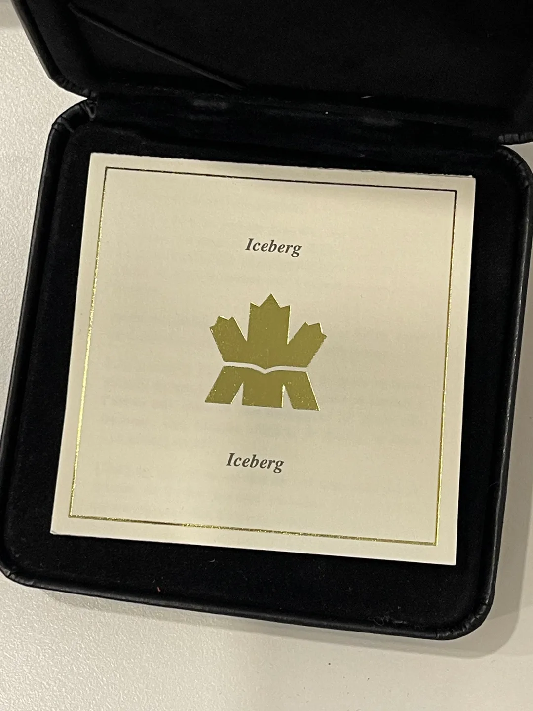 2004 Canadian $20 Silver Iceberg Coin image indicator(4)