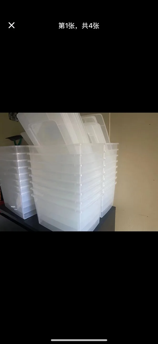 Starplast Drop Front Storage Shoe Boxes (Set of 4) thumbnail
