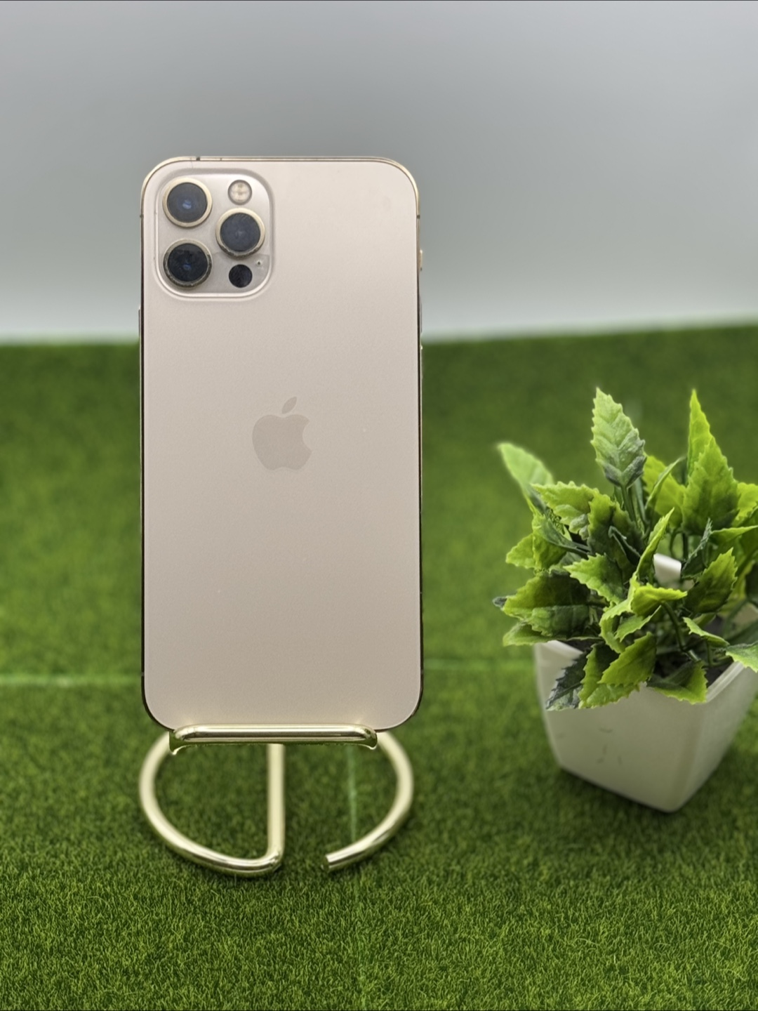 iPhone 12 Pro  Gold 100% Battery