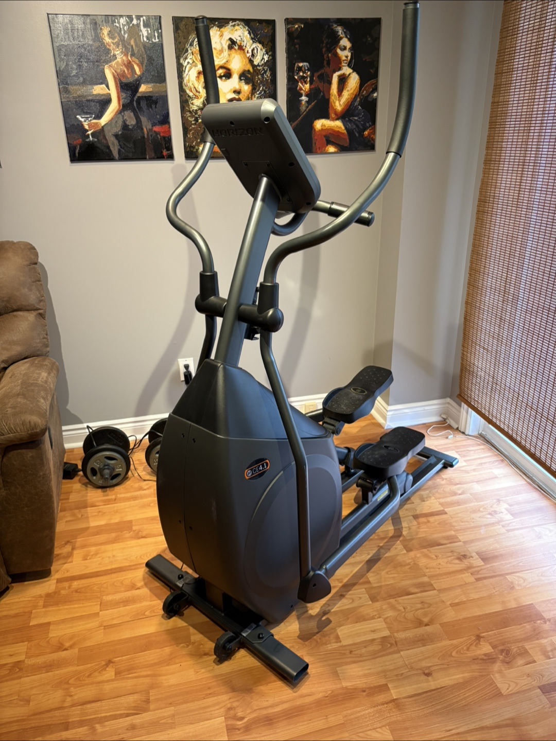 Horizon Fitness CE4.1 Elliptical Machine