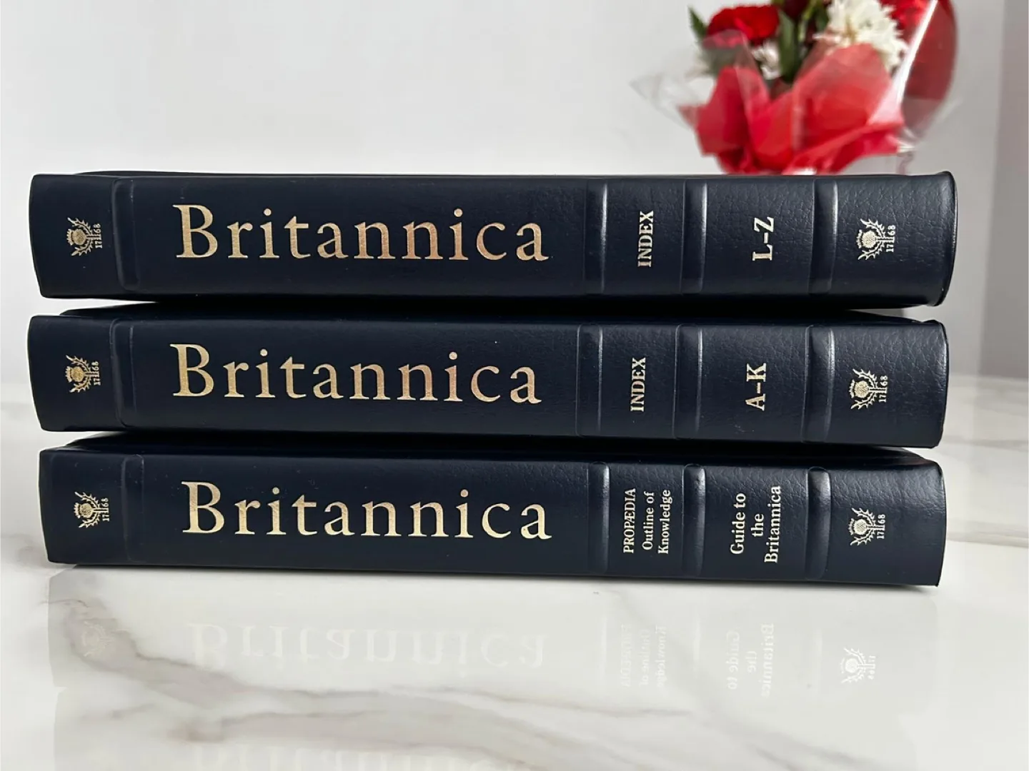 Encyclopaedia Britannica Constitution Edition image indicator(4)