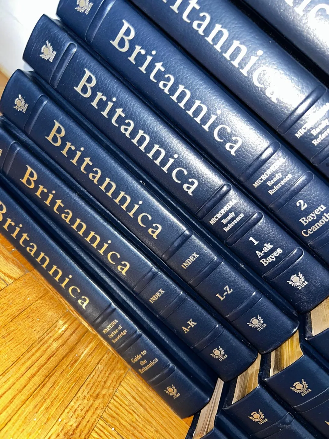 Encyclopaedia Britannica Constitution Edition image indicator(3)