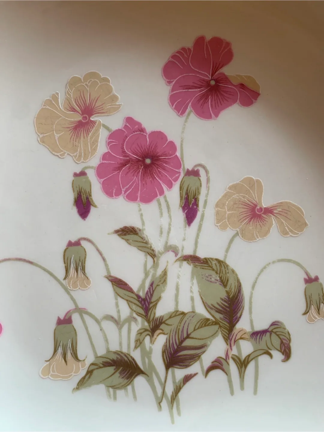 Vintage Floral Dinner Plate Set image indicator(5)