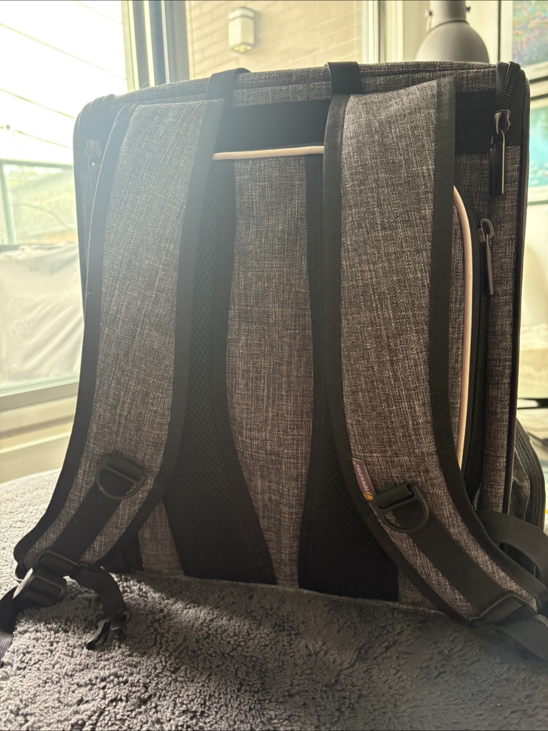 Texsens Pet Carrier Backpack - photo 4