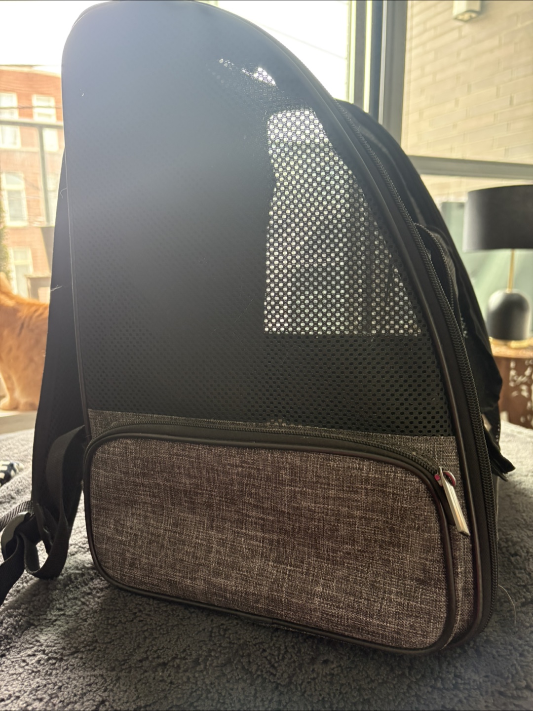 Texsens Pet Carrier Backpack - photo 3