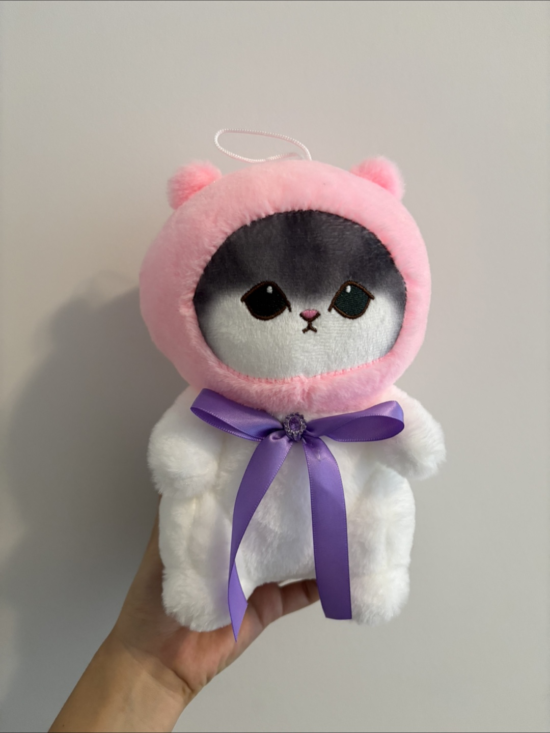 Adorable Cat Plushie with Hood - Pink and Green (2)