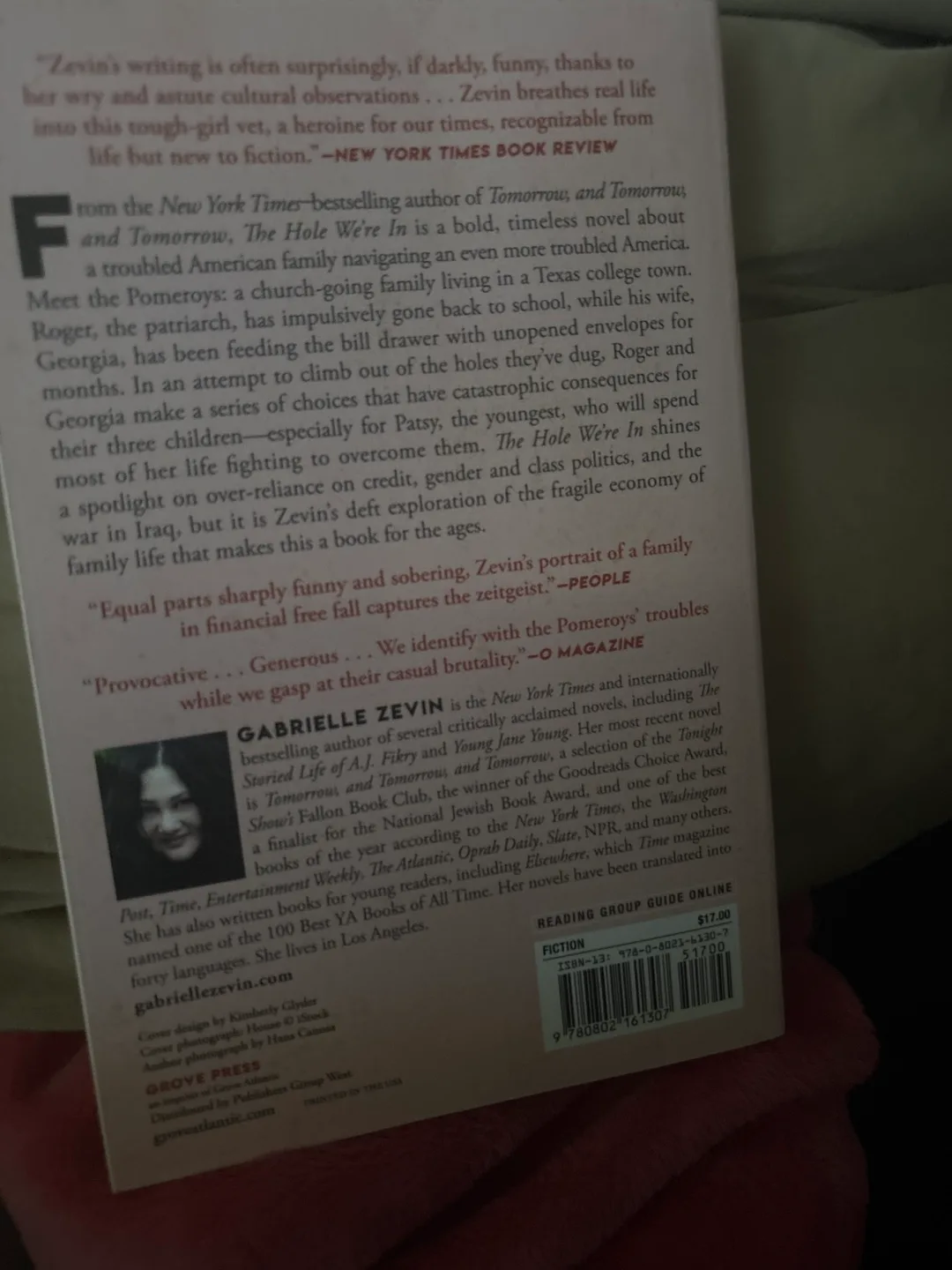 The Hole We're In by Gabrielle Zevin - Hardcover Novel🧡 image indicator(2)