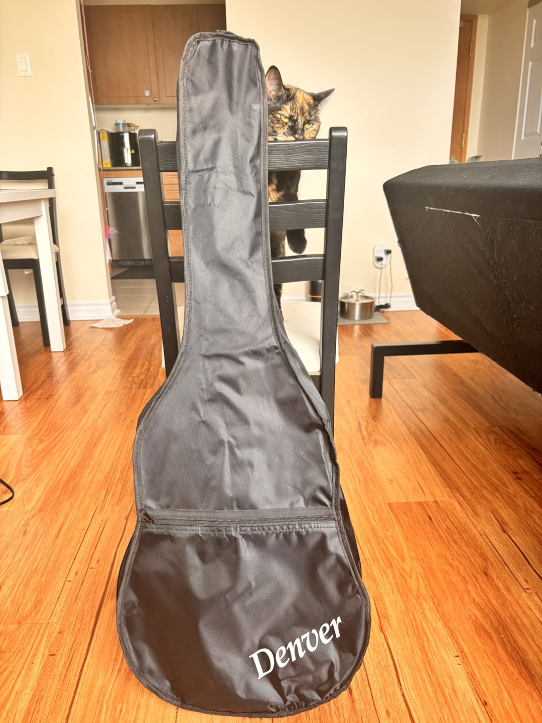 Denver Acoustic Guitar with Gig Bag - photo 2