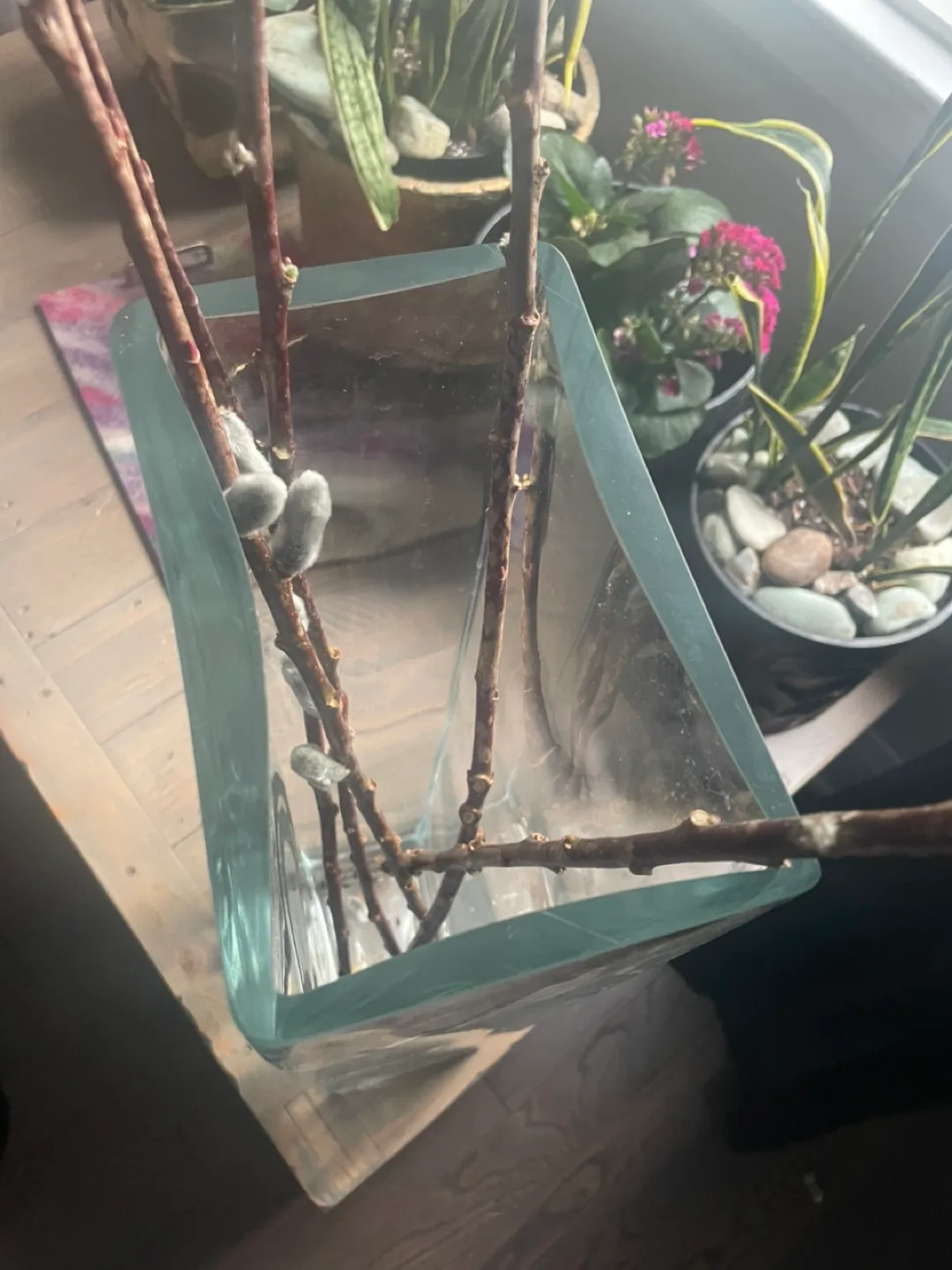 Tall Clear Glass Vase image indicator(4)