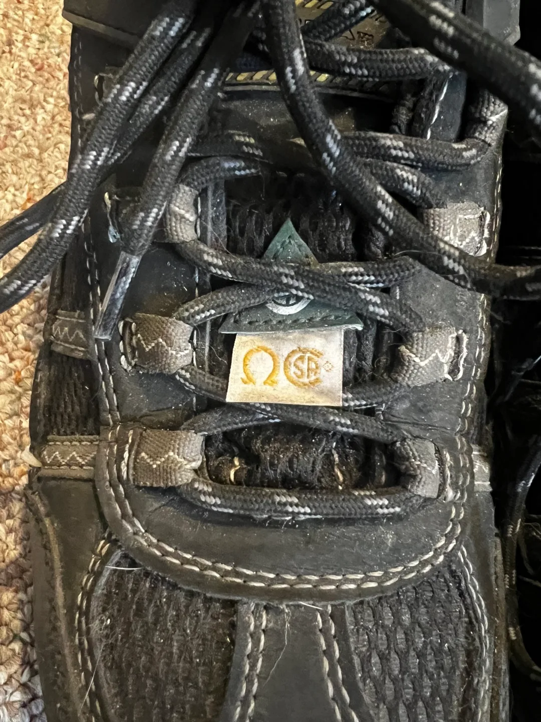 Men's Altra CSA low-cut steel toe boots image indicator(3)