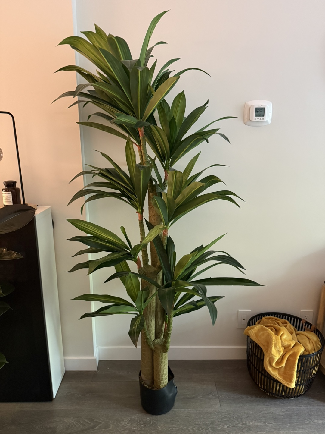 Dracaena Artificial Plant