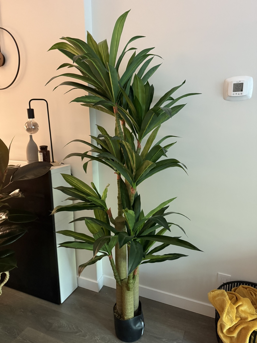Dracaena Artificial Plant - photo 2