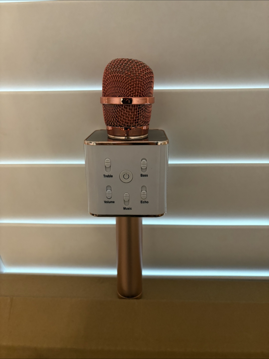 Portable Karaoke Microphone with Built-in Speaker