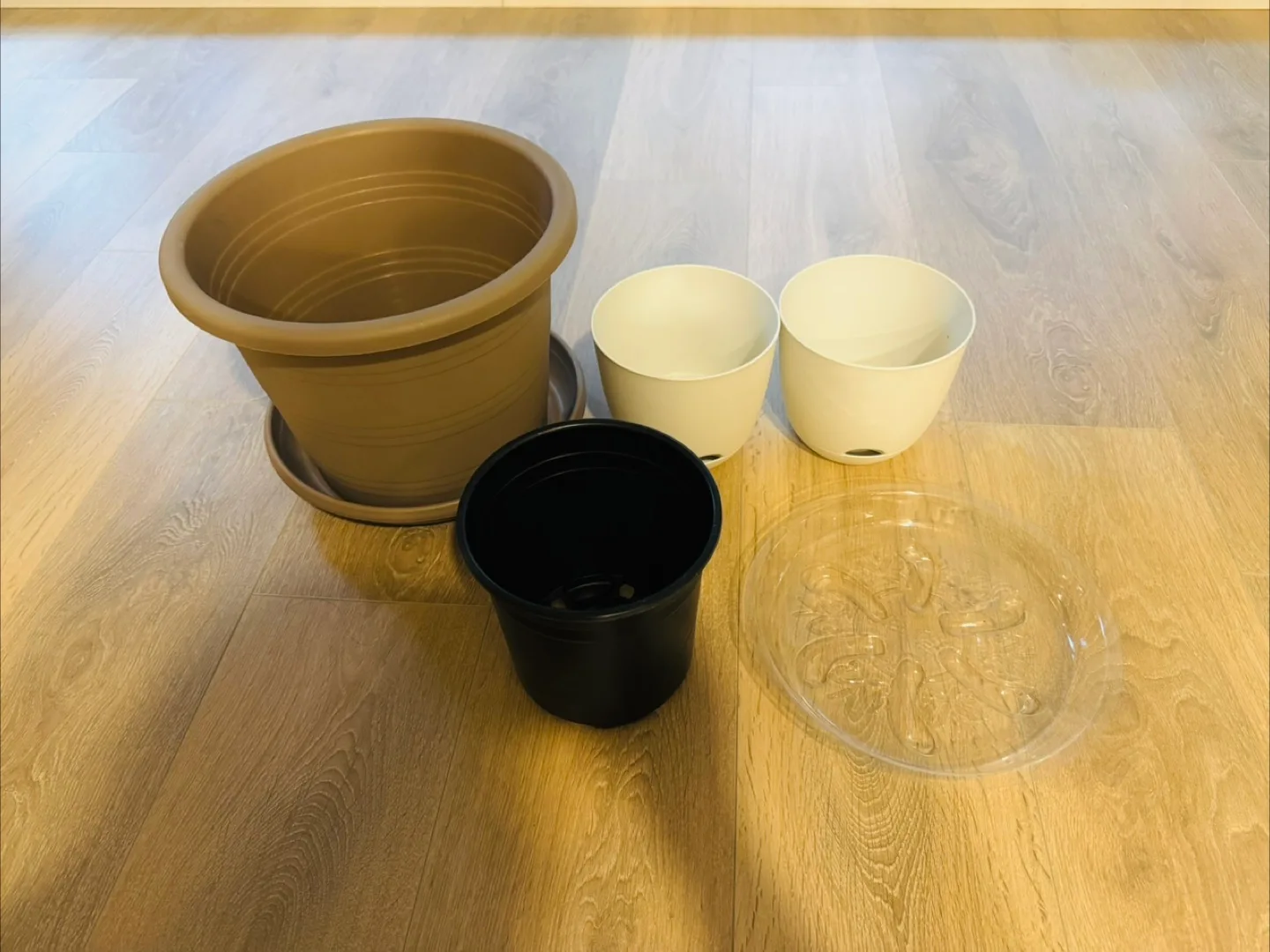 Assorted Plastic Plant Pots and Saucers thumbnail