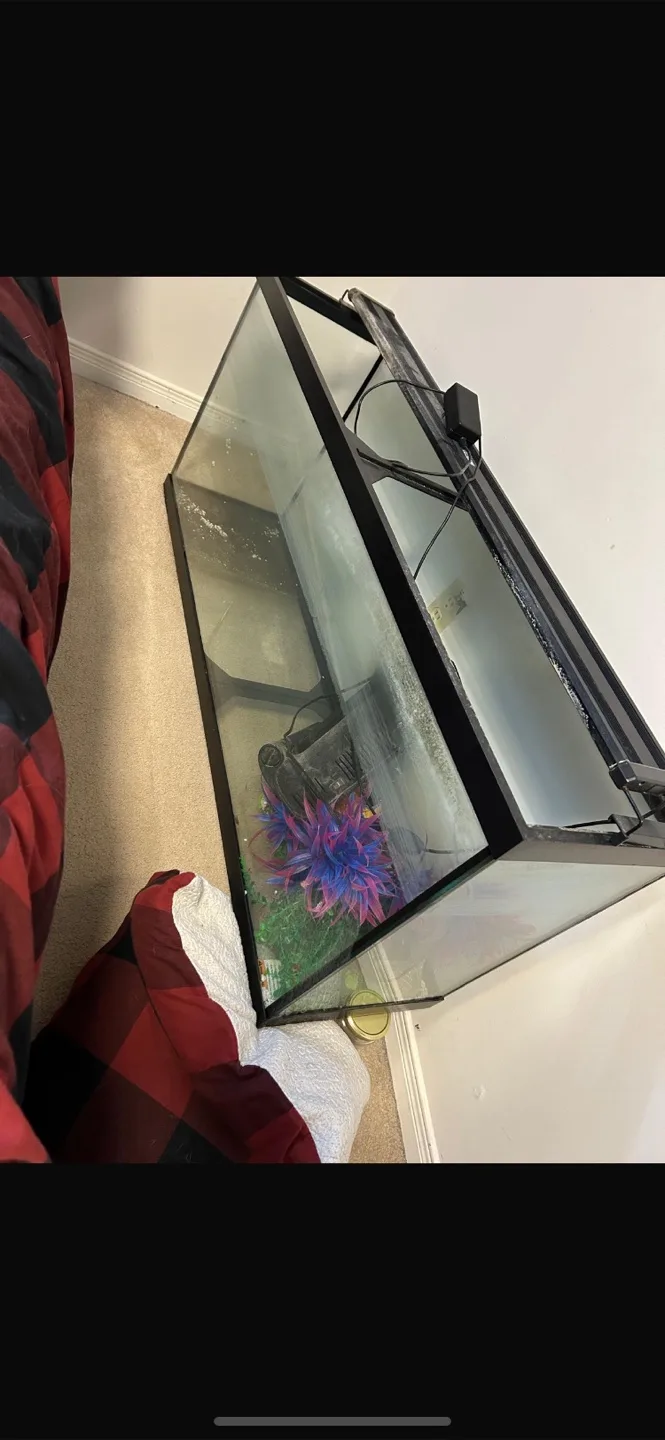 Used Fish Tank with Filter and Light thumbnail