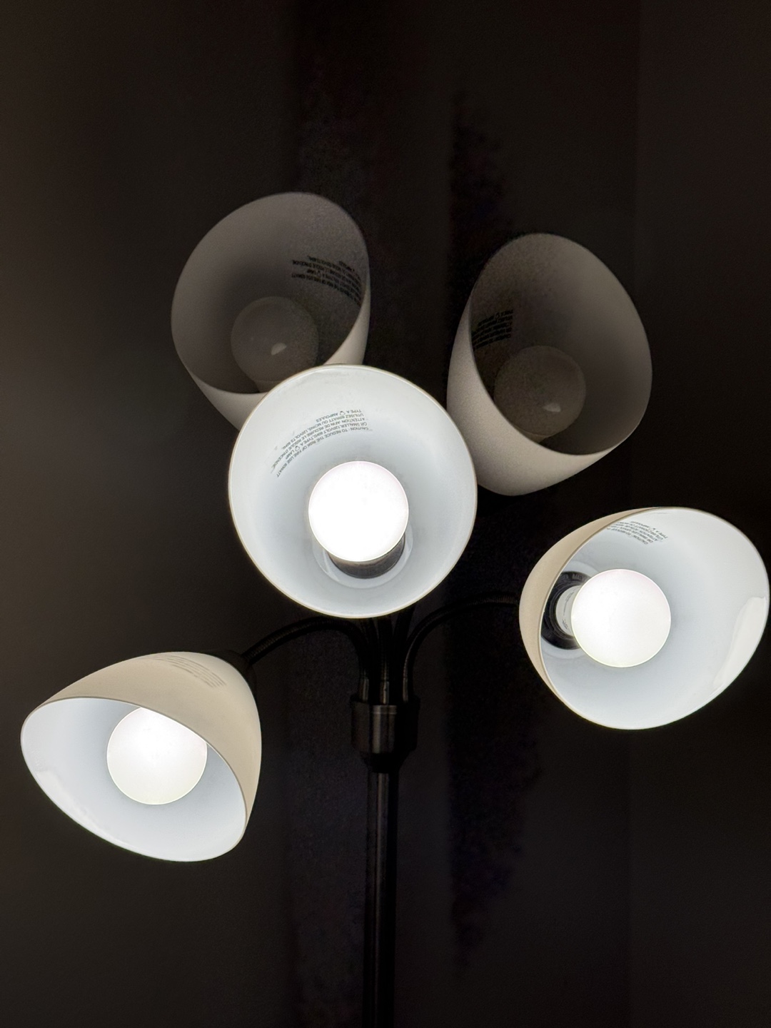 Five-Light Floor Lamp - photo 3
