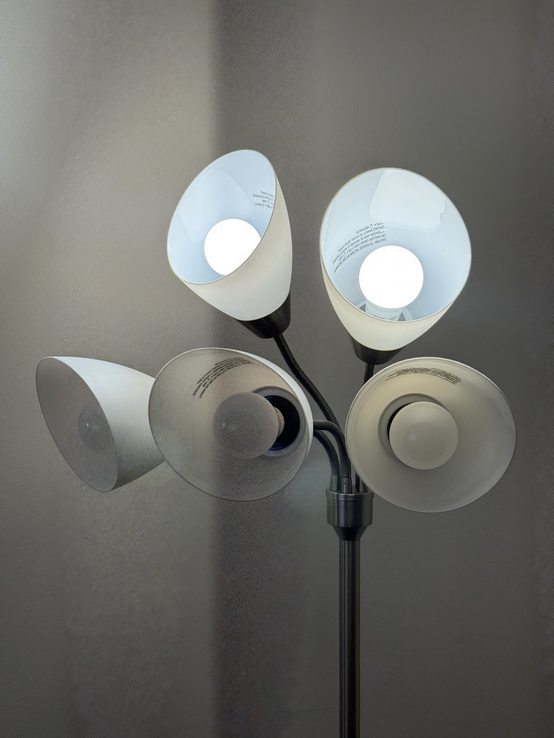 Five-Light Floor Lamp - photo 5