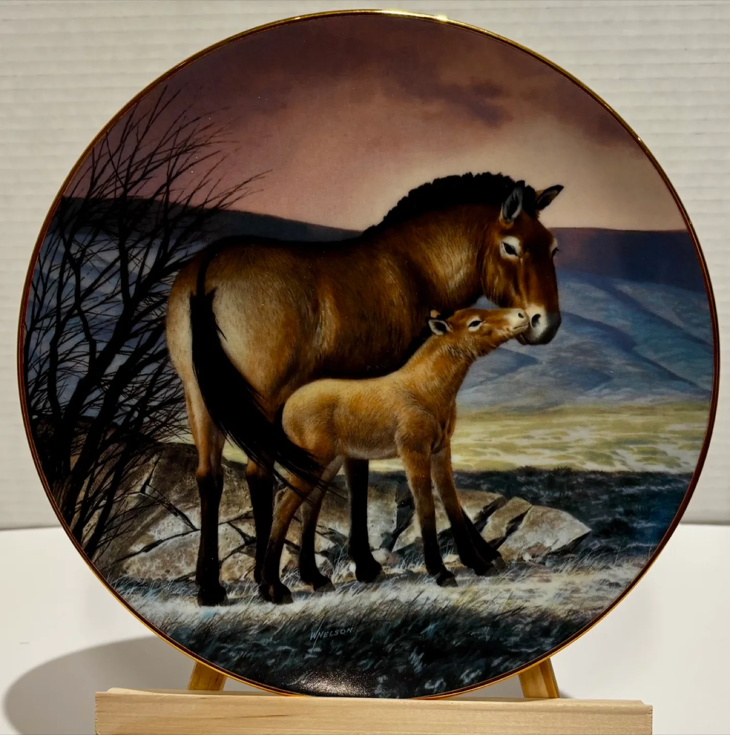 10 Vintage Numbered Collector Plates - 80’s & 90’s Perfect Gift image indicator(5)