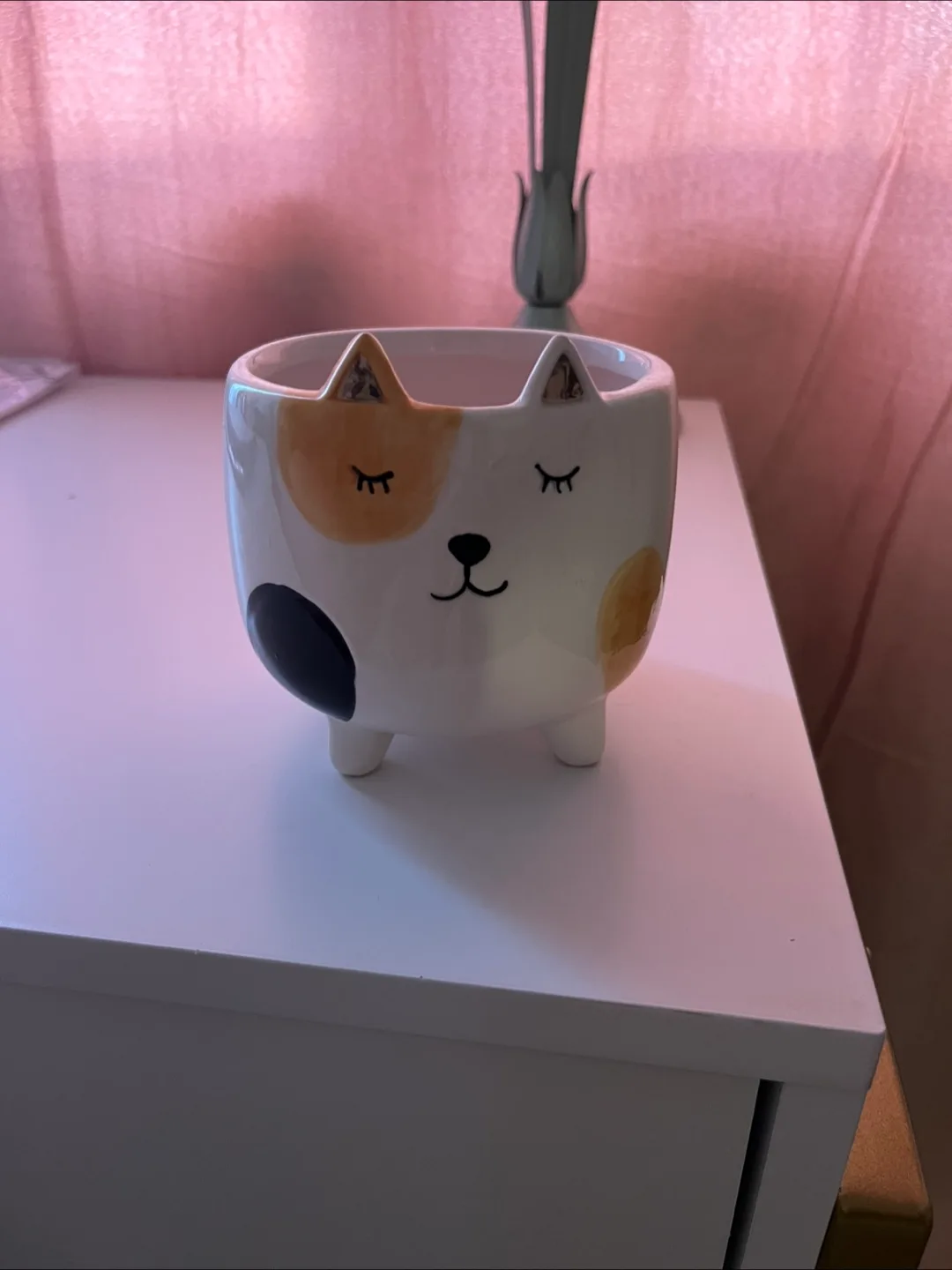 Adorable Cat Planter Pot thumbnail