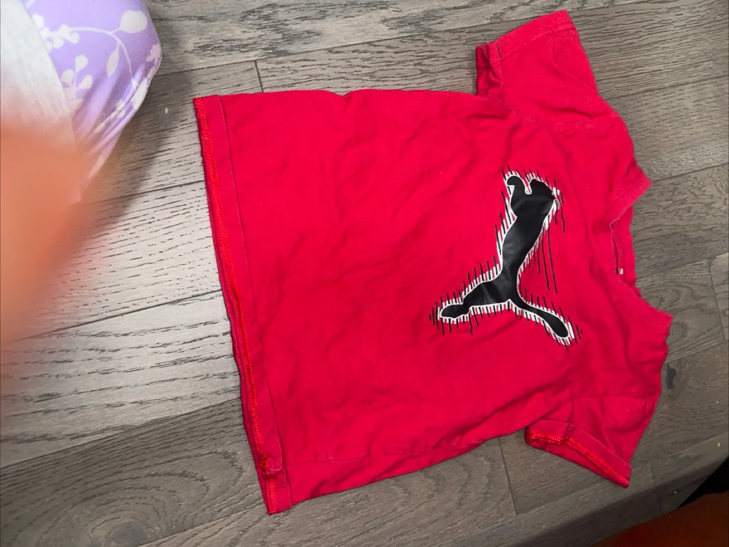 Toddler Boy's Clothing Bundle - Champion, Fila, Puma & More! image indicator(3)