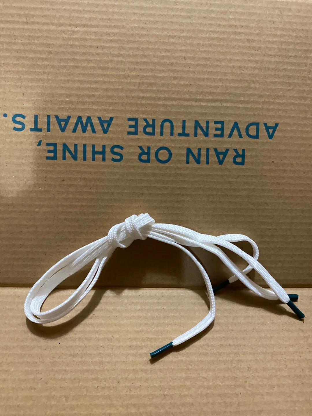 Vessi Kids Sneakers (waterproof)- Size 4 image indicator(3)