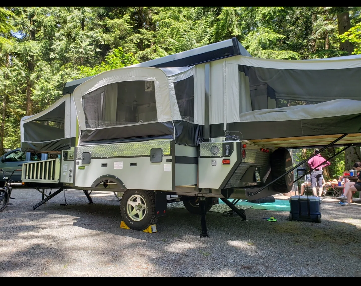 Coleman 2010 E3 image indicator(2)