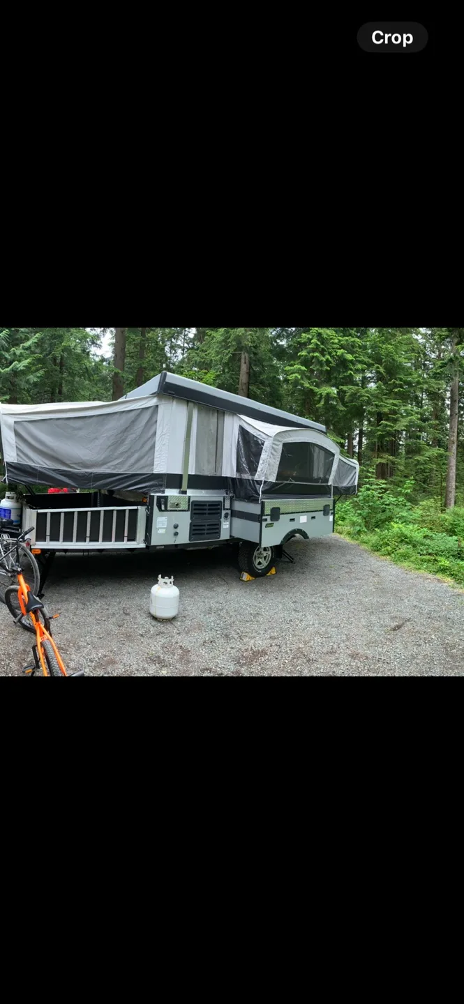 Coleman 2010 E3 image indicator(3)